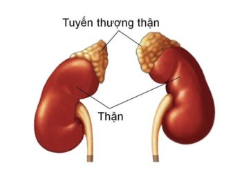 Tac dung phu cua thuoc xuong khop